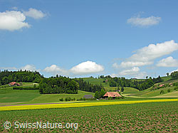 F027444: Ackerland und Bauernhöfe