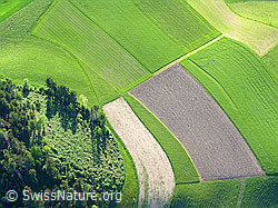 F028156: Luftaufnahme Emmental