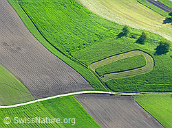 F028157: Luftaufnahme Landwirtschaft im Emmental