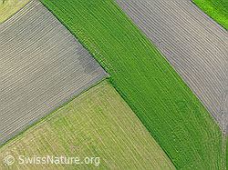 F028177: Luftaufnahme von Feldern