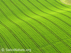 F028280: Luftaufnahme Bodenwelle