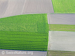 F028282: Luftaufnahme Ackerbau