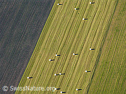 F028291: Luftaufnahme Ernte