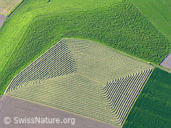 F028294: Luftaufnahme Emmental