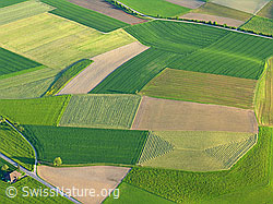 F028376: Luftaufnahme Felder