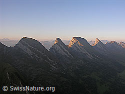 F028805: Churfirsten im Morgenlicht