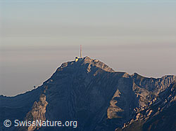 F028838: Säntis