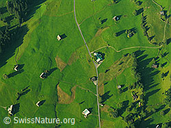 F028900: Luftaufnahme Alp im Toggenburg