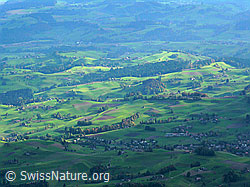 F029375: Luftaufnahme Toggenburg