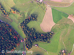 F029381: Luftaufnahme Herbstbild