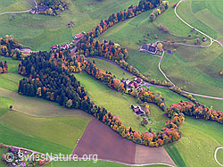 F029389: Luftaufnahme Emmental im Herbst