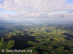 F029397: Luftaufnahme Emmental