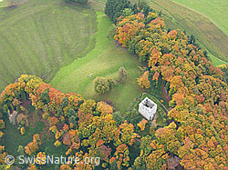F029435: Ruine Kastelen, Alberswil
