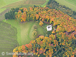 F029437: Ruine Kastelen