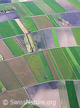 F029447: Wauwiler Moos