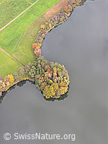F029501: Mauensee und Halbinsel