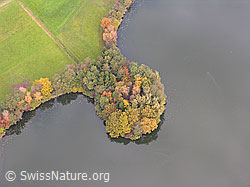 F029502: Halbinsel im Mauensee