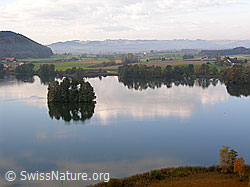 F029515: Mauensee und Wauwiler Moos