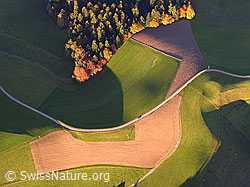 F029603: Luftaufnahme Herbstfarben im Emmental