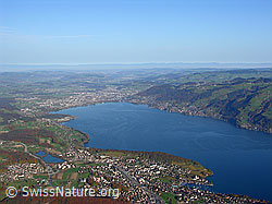 F030060: Luftaufnahme Thunersee