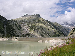 F030101: Am Räterichsbodensee (Stausee)