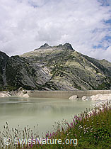 F030102: Am Räterichsbodensee (Stausee)