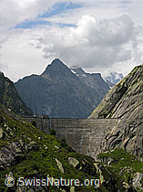 F030116: Staumauer Spittellamm (Grimselsee)