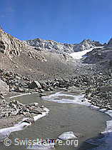 Foto: Schwemmebene und gefrorenes Ufer des Wasserlaufs