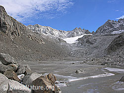 Foto: Schwemmebene Tälli, Binntal, Wallis