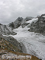 F030288: Verschneites Ofenhorn und Tälligletscher
