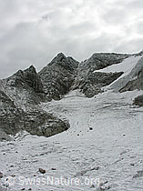 F030300: Ofenhorn und Tälligletscher, Binntal