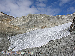 F030347: Nördliche Gletscherzunge des Tälligletschers
