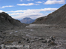 F030357: Schwemmlandschaft im Tälli, Wallis