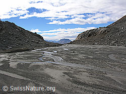 F030364: Schwemmebene im Tälli, Binntal