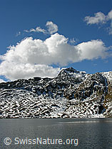 F030495: Totesee und Sidelhorn