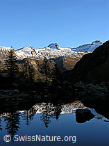 F030513: Morgen: Spiegelbild der Lärchen und Berge im See