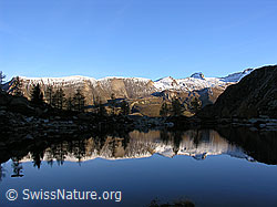 F030518: Berglandschaft und Wald mit Spiegelung in ruhigem Bergsee