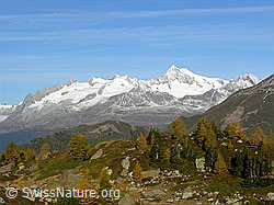 F030573: Gross Fusshorn, Rotstock, Geisshorn, Aletschhorn, Herbstlandschaft