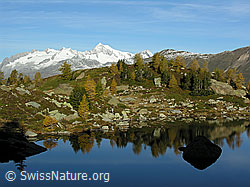 F030582: Herbstliche gefärbte Berglandschat mit Spiegelung im See