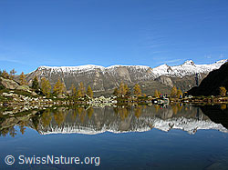 F030636: Herbst am Mässersee, Binntal, Wallis, mit Spiegelung