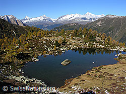 F030645: Mässersee, Binntal, Wallis