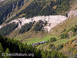 F030732: Bergdorf, Weiden, Wald und Felswand