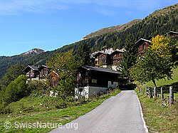 F030735: Bergdorf Imfeld, Binntal, im Herbst