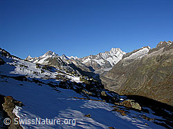 F030755: Scheefeld am Sidelhorn und Berner Alpen