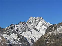 Photo: Sidelhorn: Lauteraarhorn und Schreckhorn