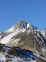 F030758: Finsteraarhorn, Scheuchzerhorn, Tierberg, Zinggenstock