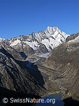 Foto: Grimselstausee mit Schwemmebene und Schreckhorn