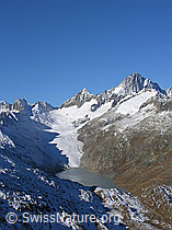 Photo: Oberaarsee, Oberaargletscher, Oberhaarhorn
