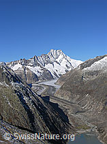 Foto: Lauteraarhorn, Schreckhorn, Gletschervorfeld, Grimselsee