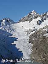 Photo: Oberaarhorn und Oberaargletscher mit Schattenbild eines Felsgrates